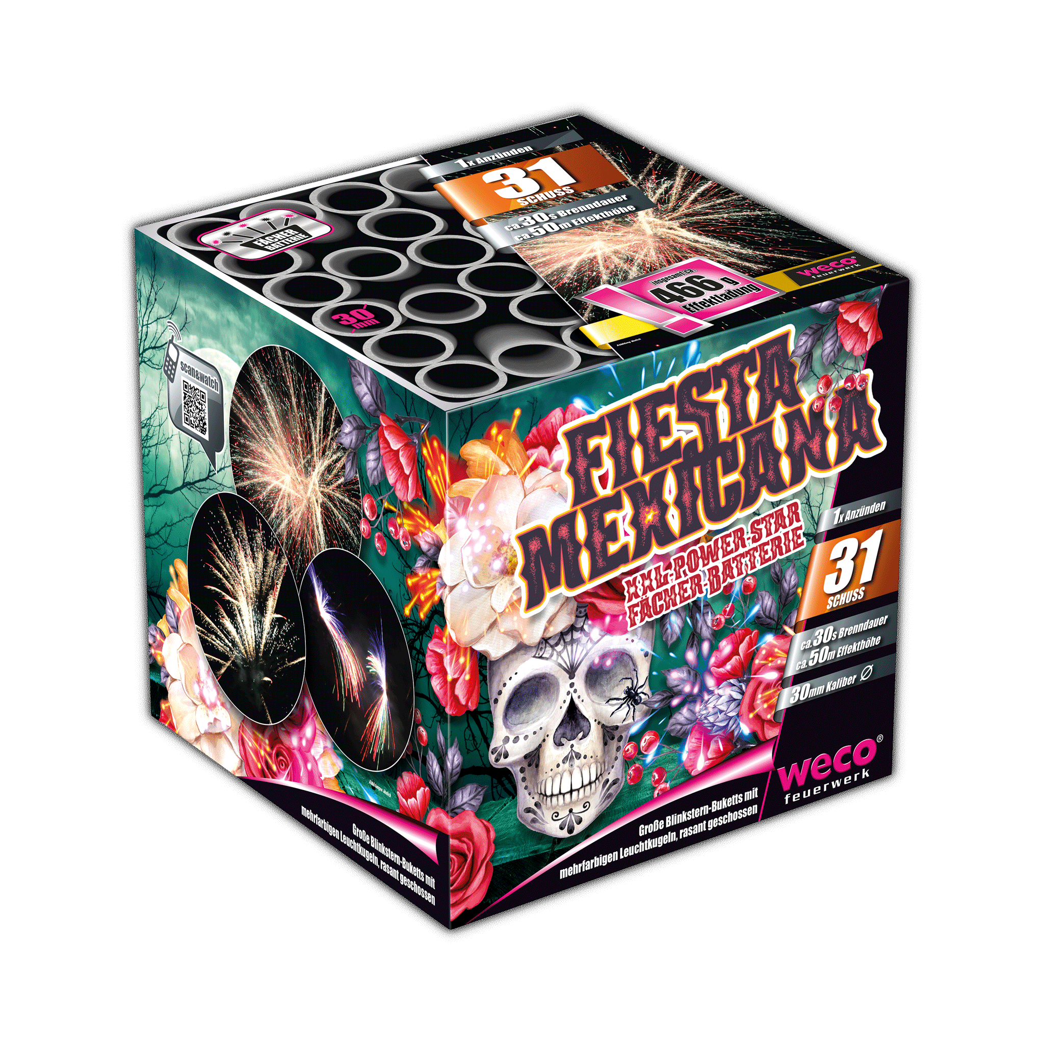 Fiesta Mexicana