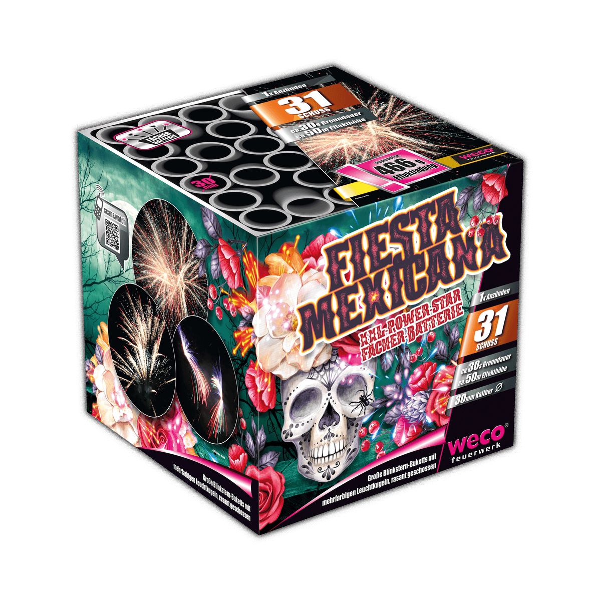 Fiesta Mexicana